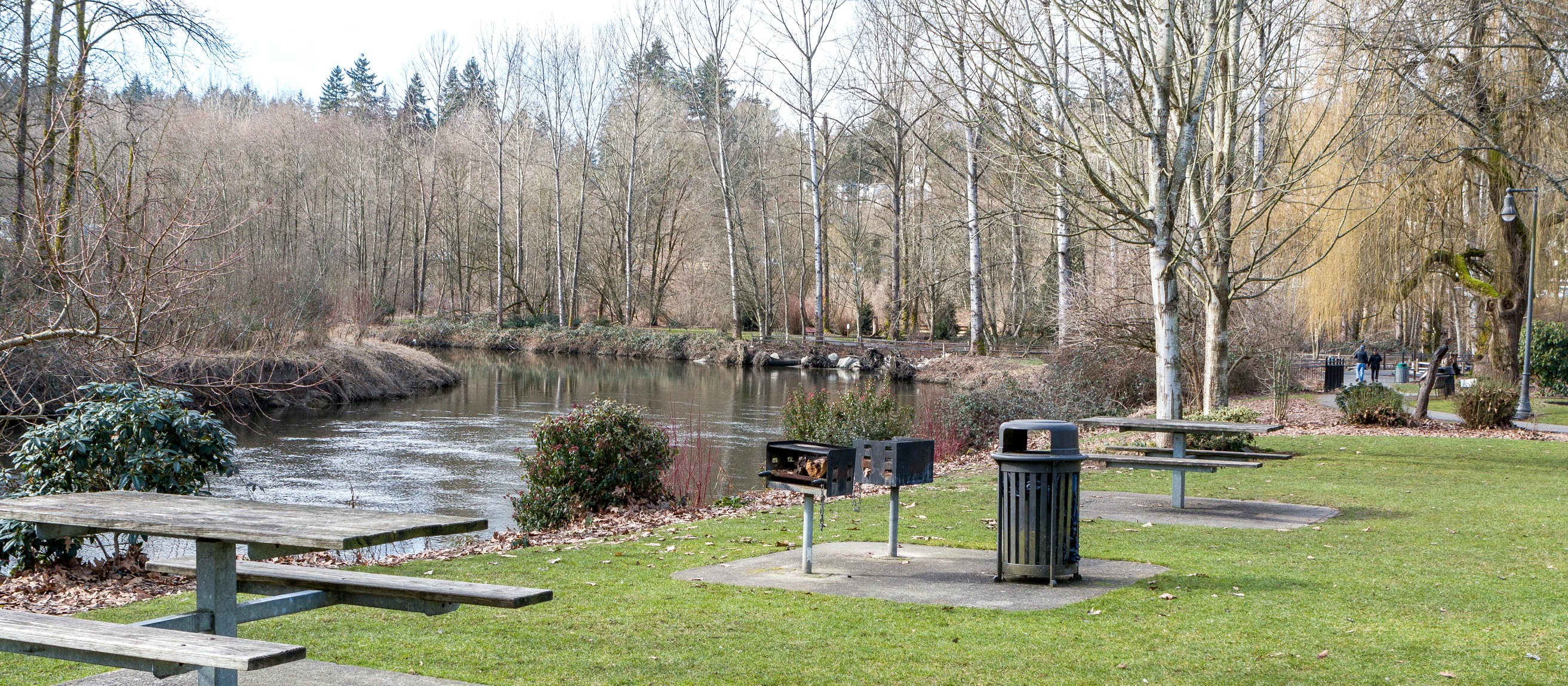 WindermereNorth_Bothell_Park.jpg